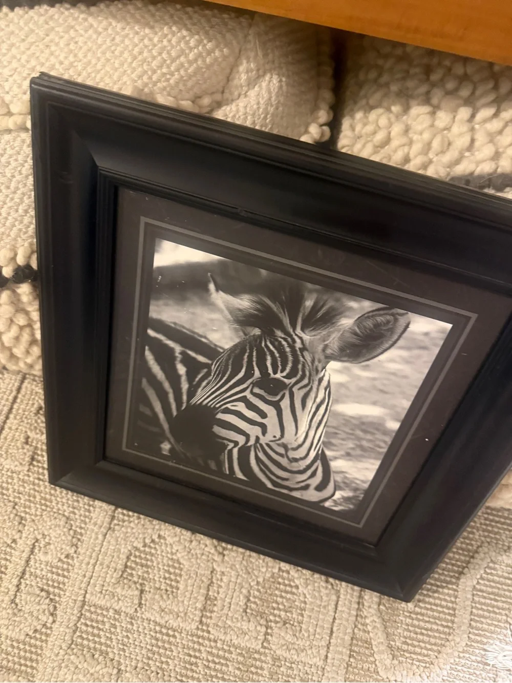 Vintage Black Framed photograph African Zebra Wall Art - Home Accents 16x16”